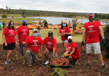 Group of volunteers posing in plant bed holding shovels and bin of harvested sweet potatoes