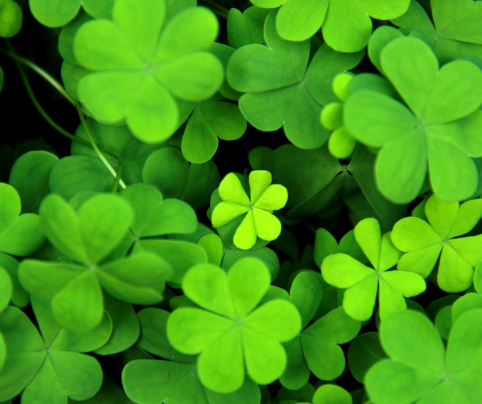 Spring Break: Celebrate St. Patrick's Day - Tulsa Botanic GardenTulsa ...